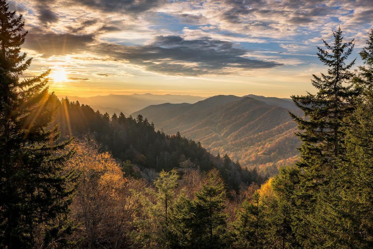 Nature'S Paradise Сев'єрвілл Екстер'єр фото