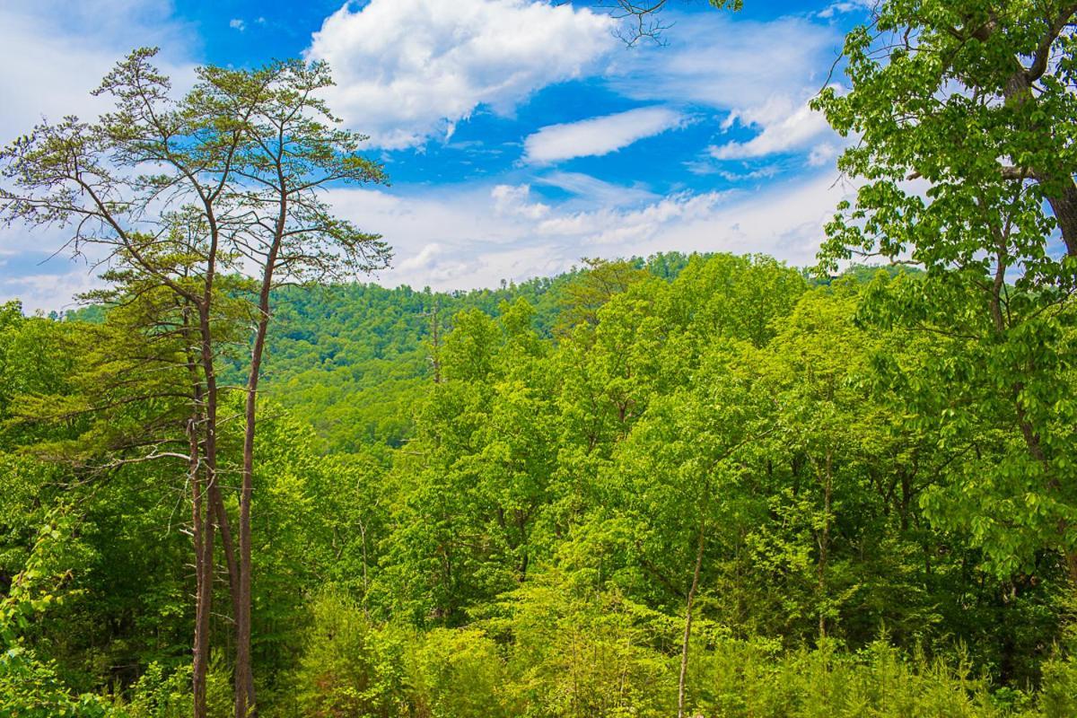 Nature'S Paradise Сев'єрвілл Екстер'єр фото