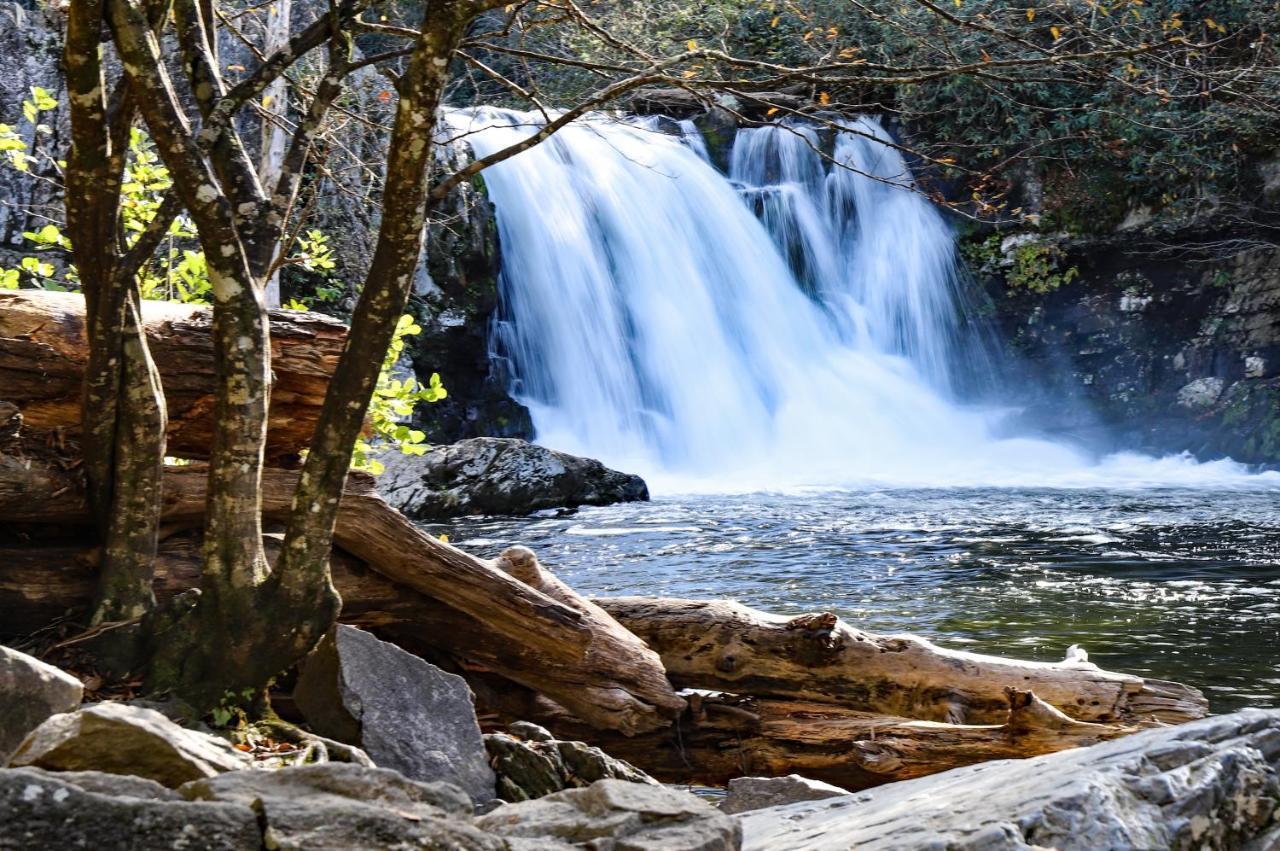 Nature'S Paradise Сев'єрвілл Екстер'єр фото